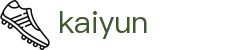 开云（kaiyun）官网 - 本土赛事畅玩